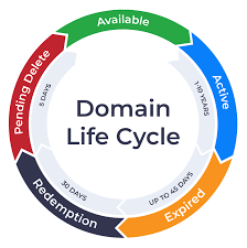 Domain Registration Process